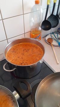 Gulaschsuppe (4)